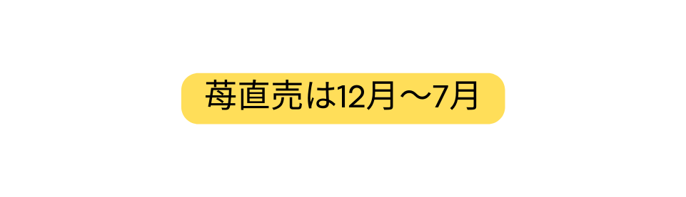 苺直売は12月 7月